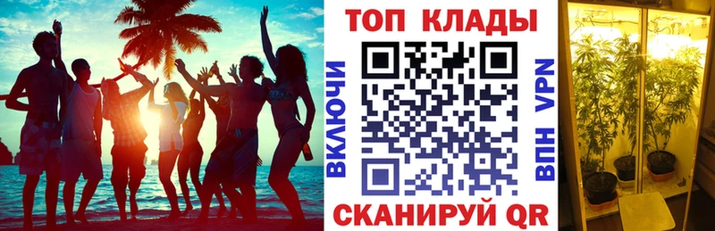 Купить закладку Вязники МАРИХУАНА  Кокаин  hydra сайт  АМФ  Меф мяу мяу  Alpha-PVP  ГАШИШ 