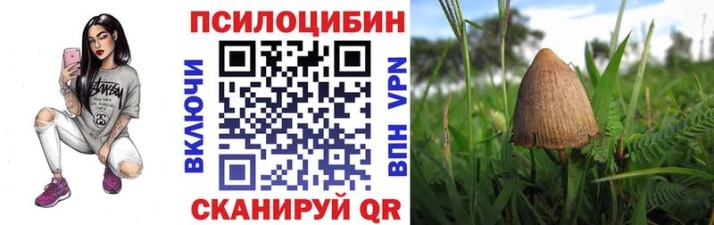 купить наркотик  Вязники  Псилоцибиновые грибы прущие грибы 