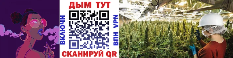 Шишки марихуана Bruce Banner  Вязники 